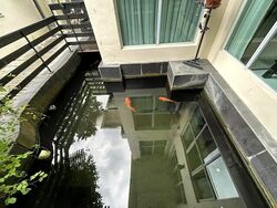 Teachers' Housing Estate (D26), Terrace #466548171